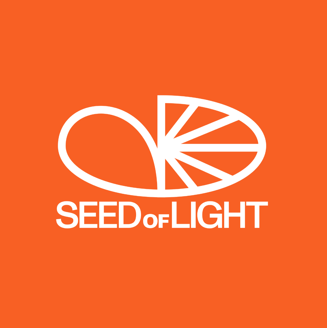SEED of LIGHT logo